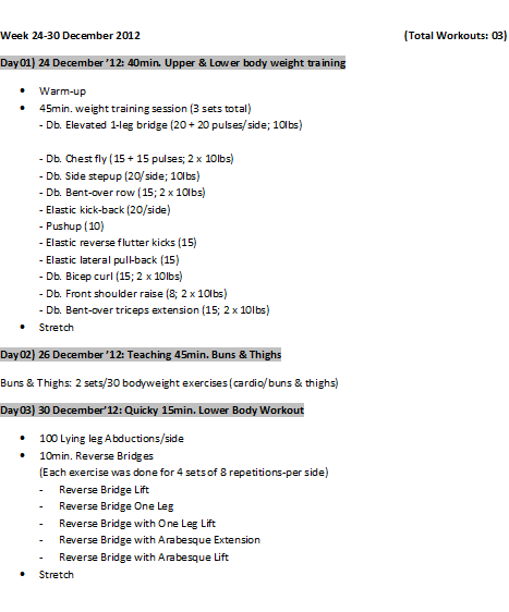workout log 24 30 december 12