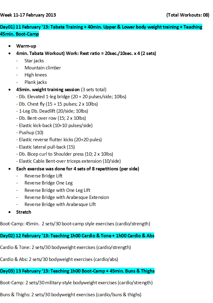 workout log 11 17